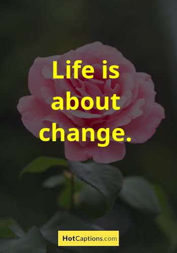 Funny Quotes About Change And Moving On