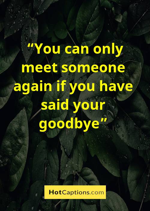 Quotes About Leaving Someone You Love